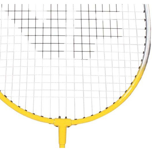 Victor VICFUN Hobbyset Type B - badminton set